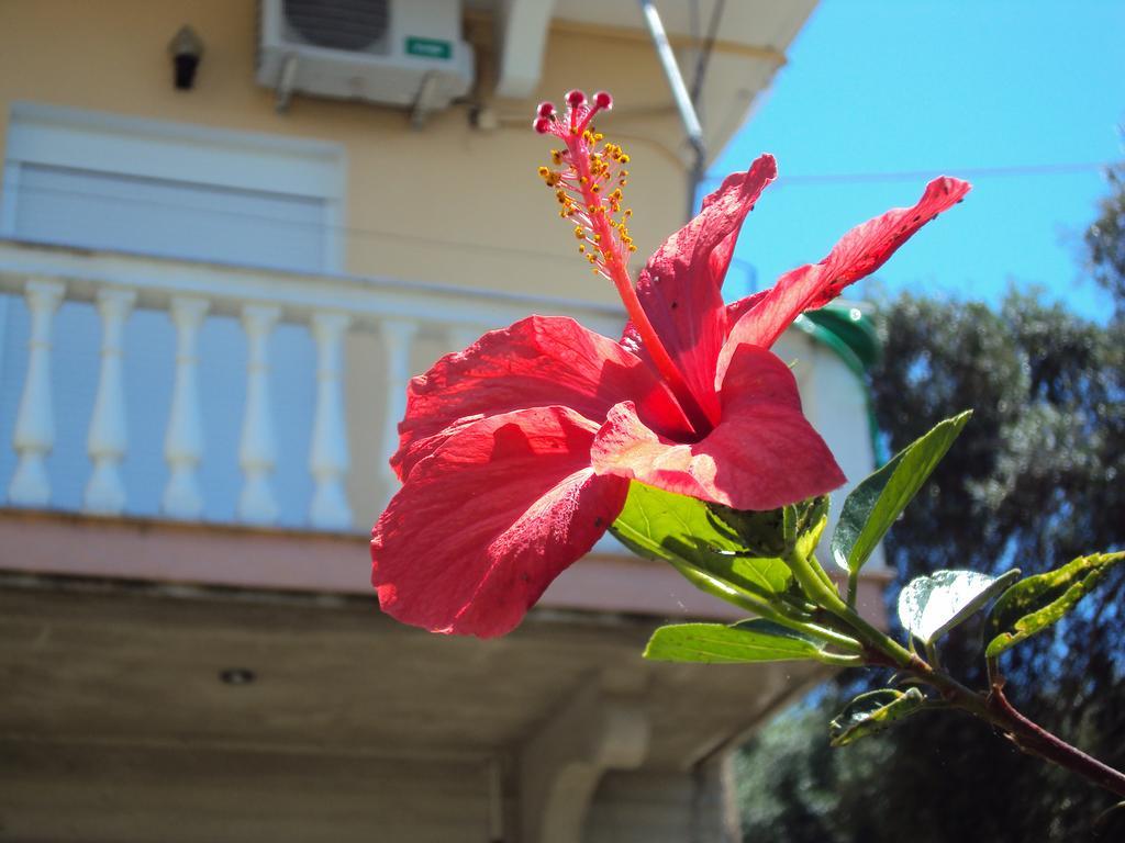 Stamatia Rooms Parga Dış mekan fotoğraf